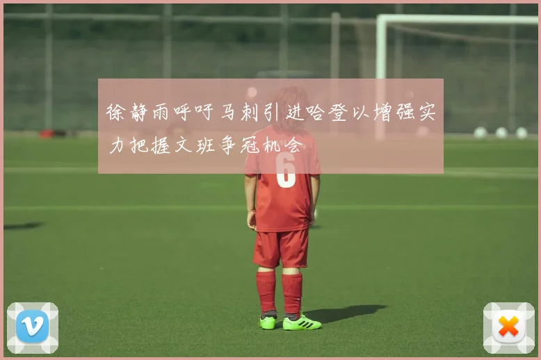 徐静雨呼吁马刺引进哈登以增强实力把握文班争冠机会