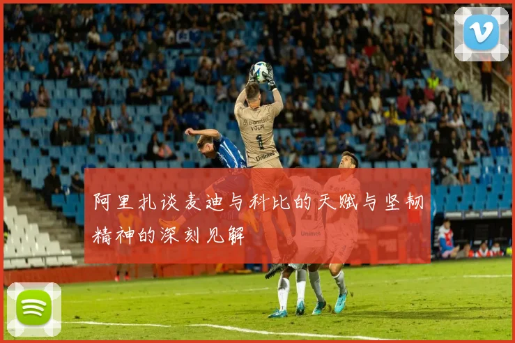 阿里扎谈麦迪与科比的天赋与坚韧精神的深刻见解