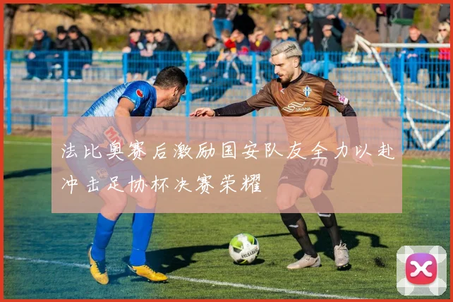 法比奥赛后激励国安队友全力以赴冲击足协杯决赛荣耀